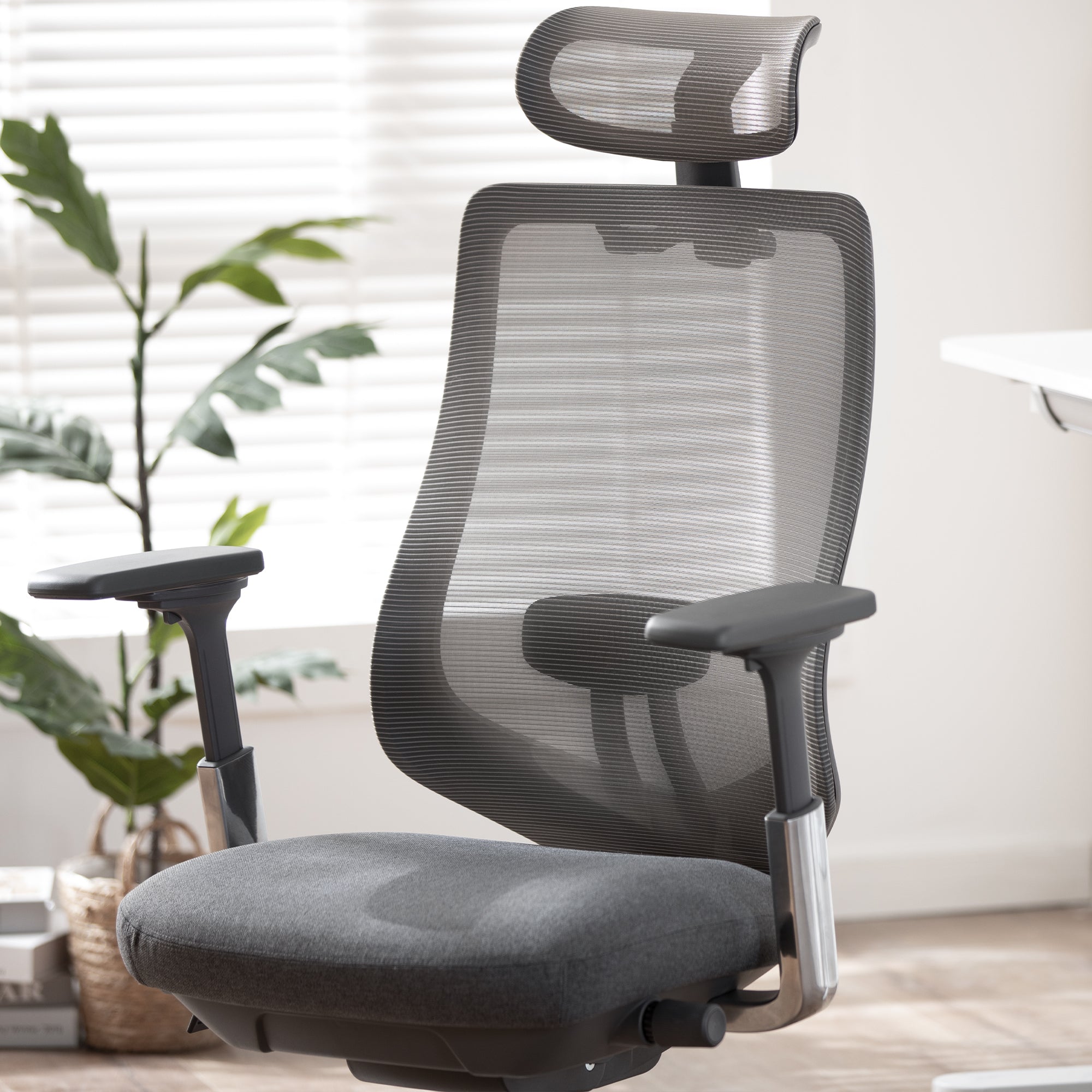COLAMY ATLAS Executive Ergonomic Office Chair