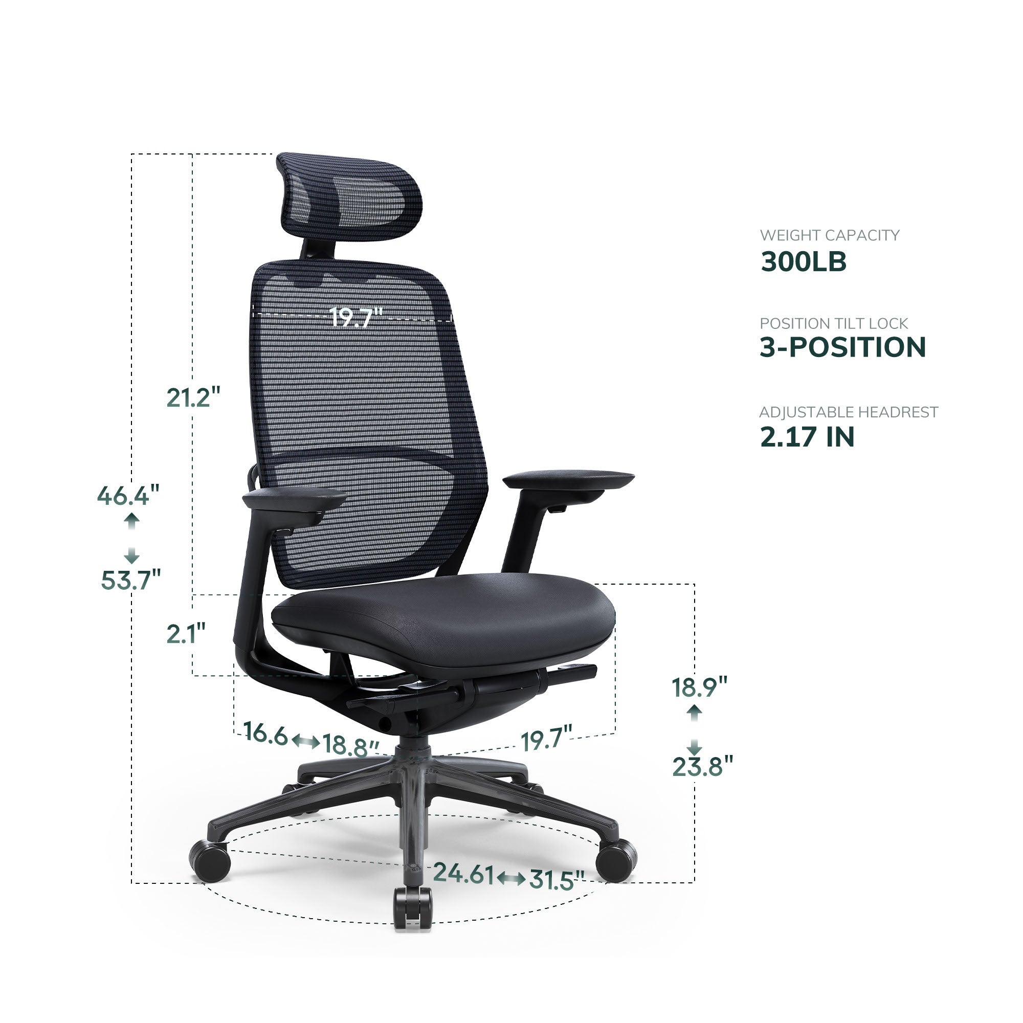 COLAMY HINA Modern Ergonomic Office Chair