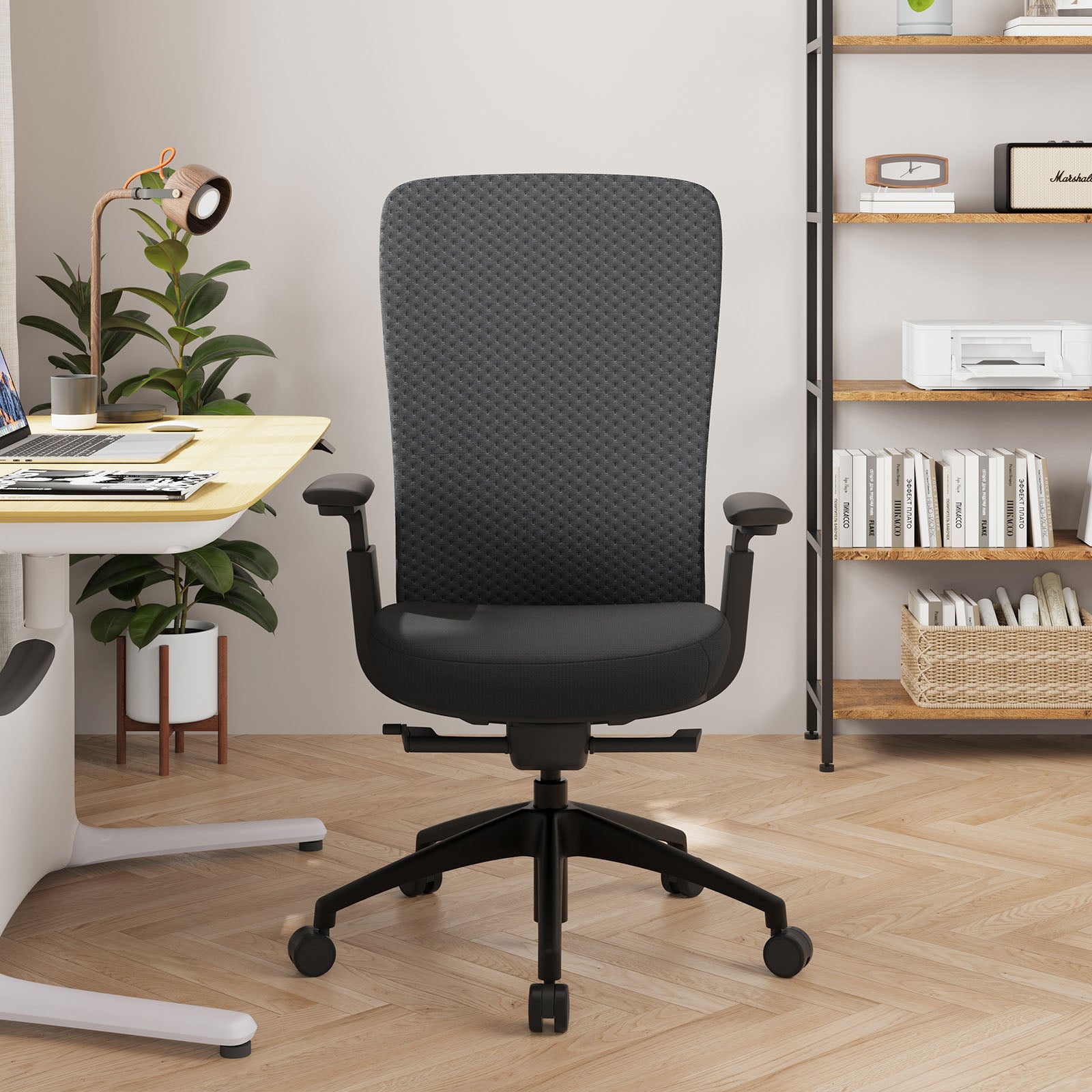 COLAMY NEZA Contemporary Office Office Chair