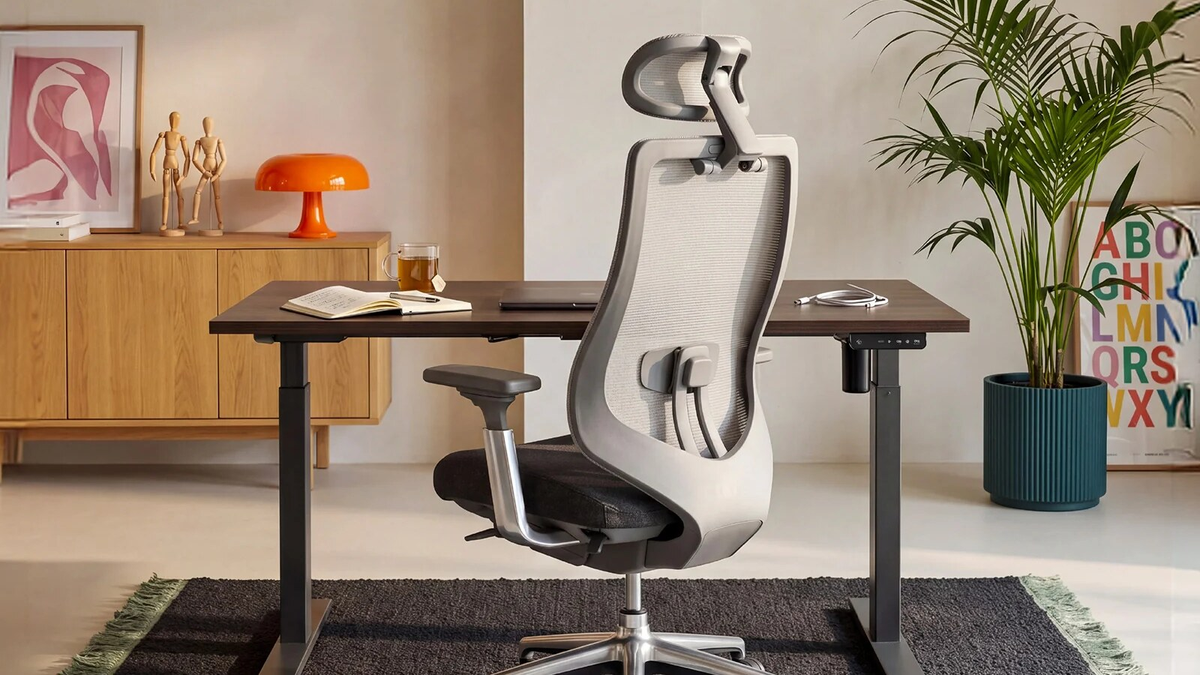 Finding Your Perfect Mesh Office Chair: A Guide to COLAMY Office Series