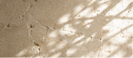 COLAMYHome