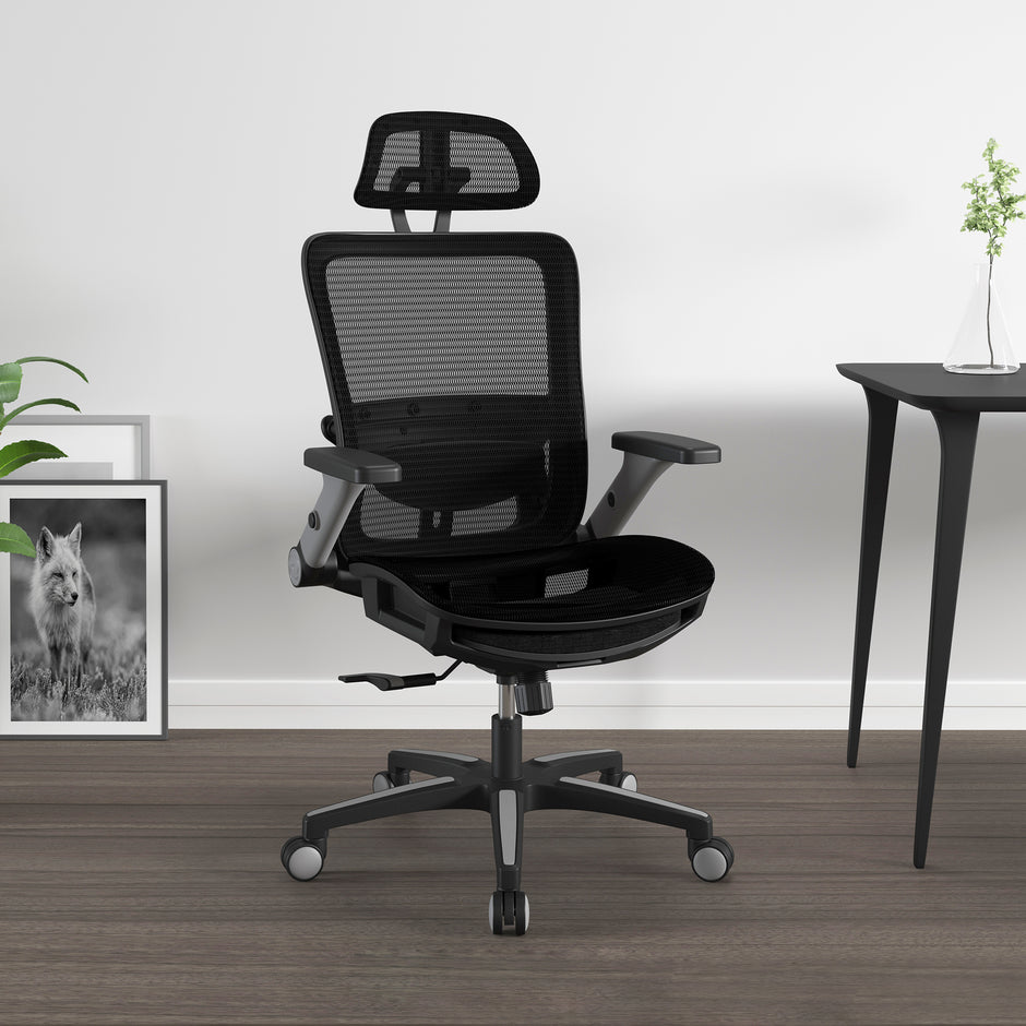 COLAMY Mesh Back Office Chairs - Premium Collection – COLAMYHome