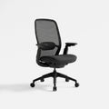COLAMY AETHER Ergonomic Middle Back Mesh Office Chair