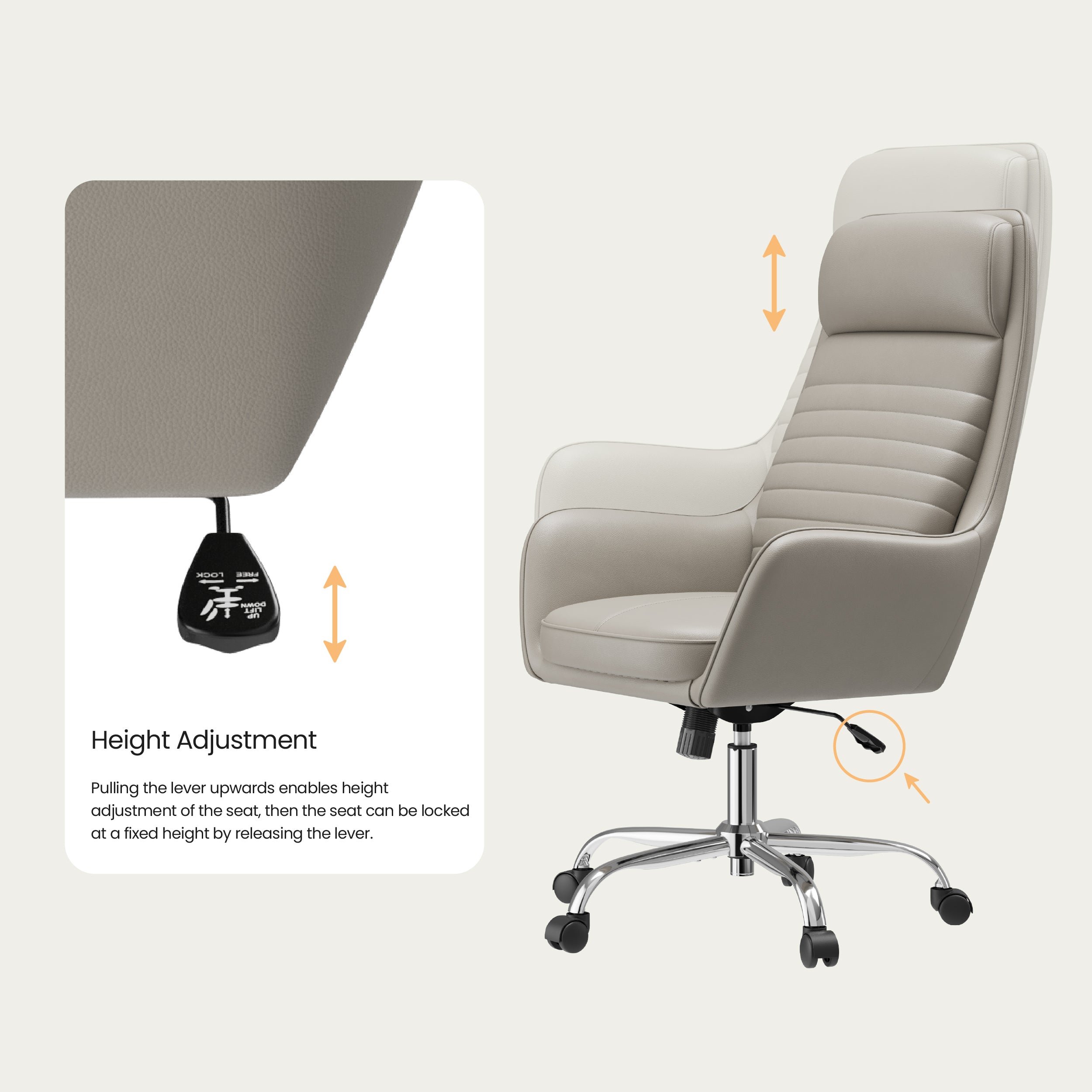 Colamy ELLIS Study & Home Office Swivel Chair with Casters