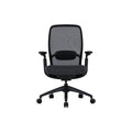 COLAMY 4D Adjustable Ergonomic Office Chair