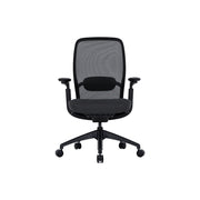 COLAMY 4D Adjustable Ergonomic Office Chair