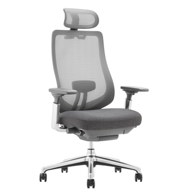 COLAMY ATLAS Ergonomic Mesh Office Chair Cap.300lbs